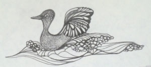 bird-sketch