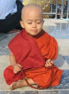 little-monk-praying